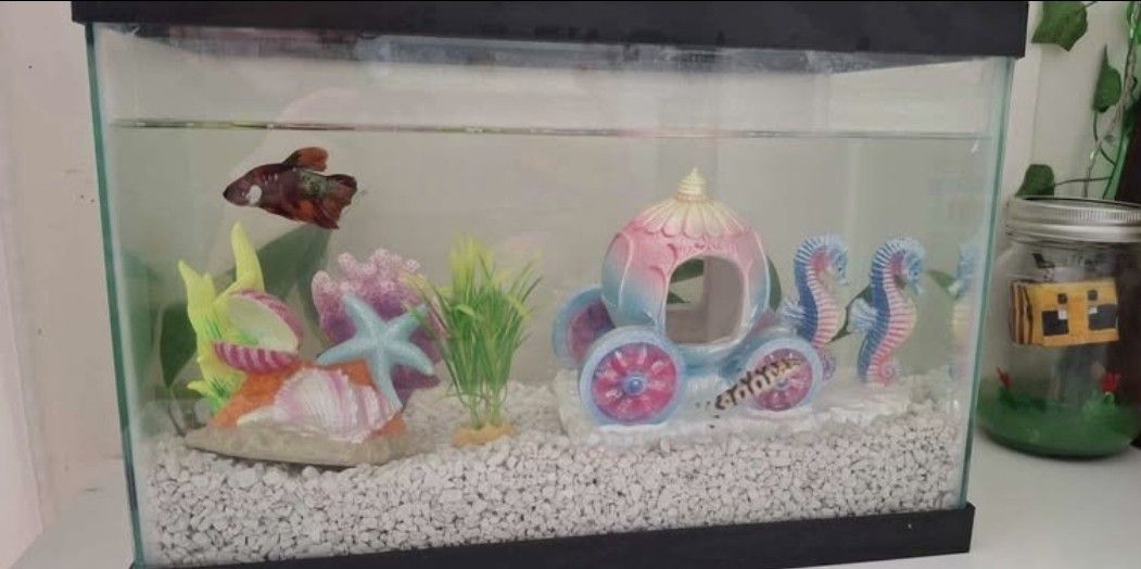 Fish Tank