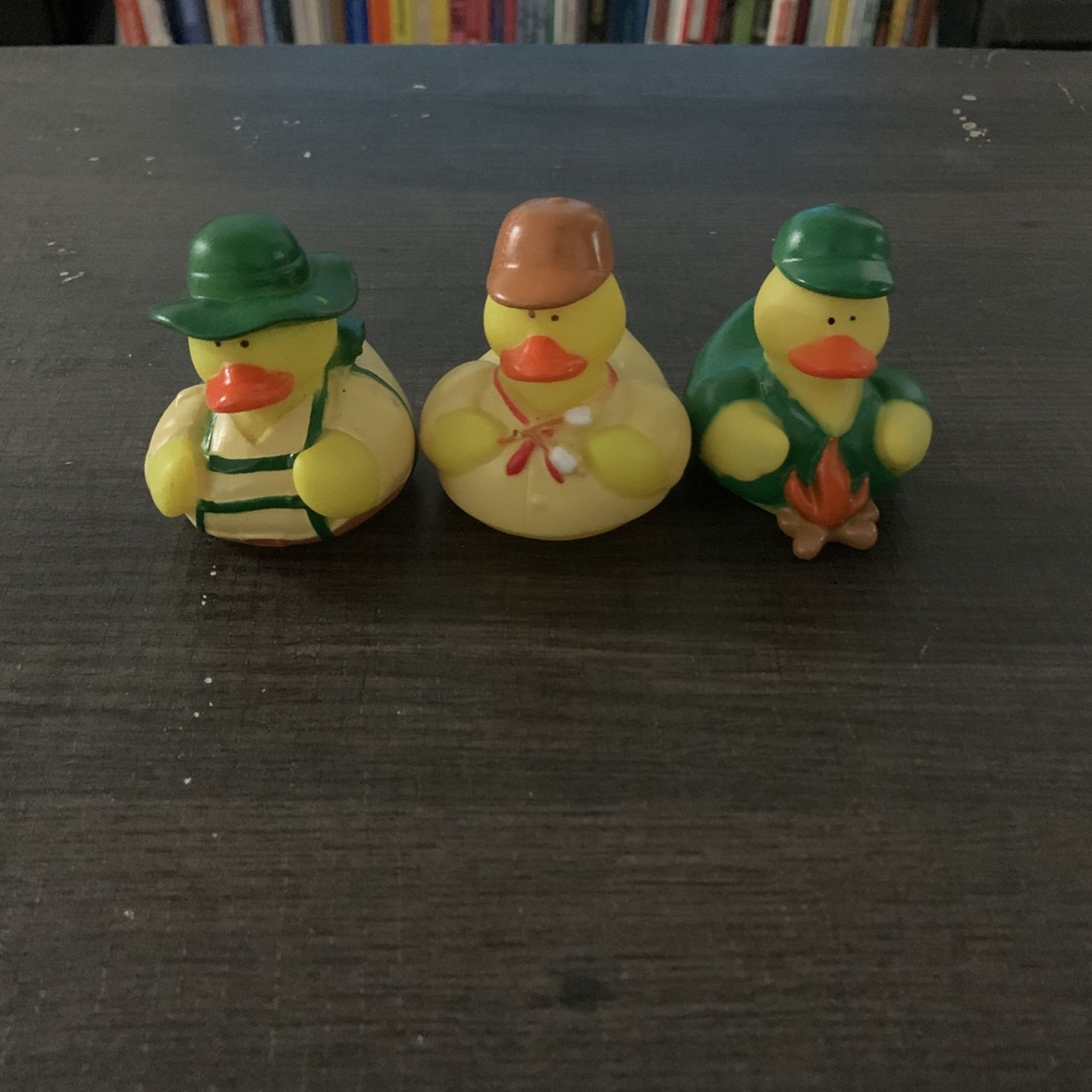 Camping Rv duckies