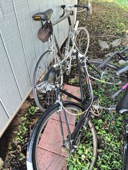 FREE BIKES.