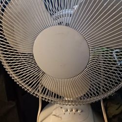 Medium Size Fan 
