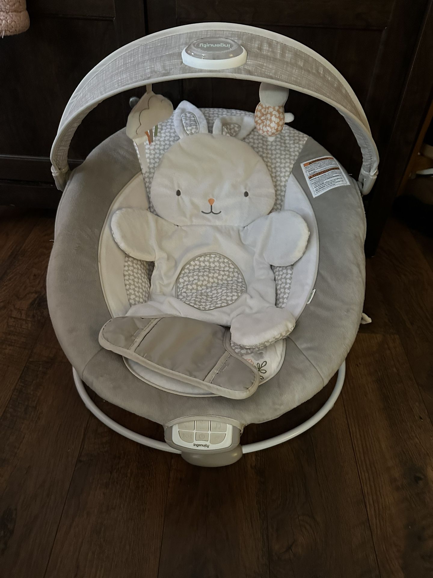 ingenuity baby bouncer