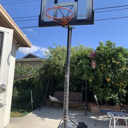 Titan Adjustable Basketball Hoop 