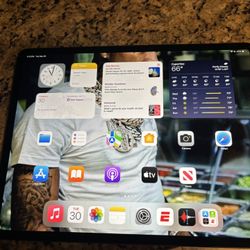 iPad Pro 