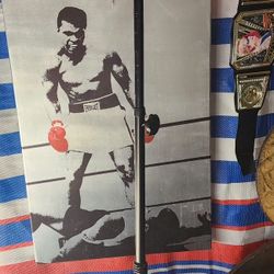  Reflex Punching Bag