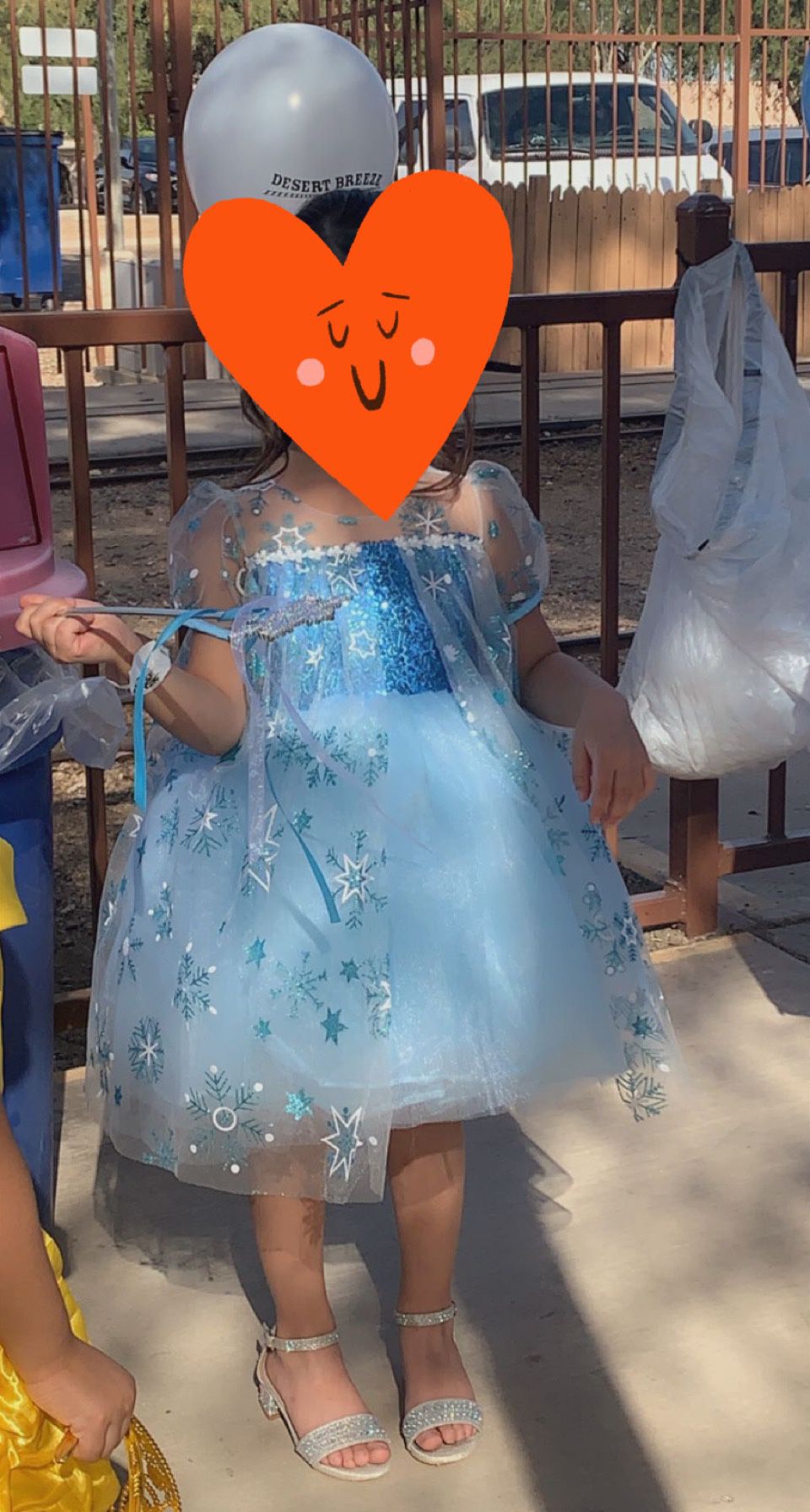4T Elsa Dress 