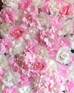 White and Pink Flower backdrop