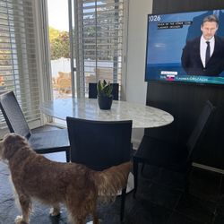 Modern Dark Wood Dining Chairs – Set of 3 