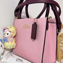Pink bag Totbao
