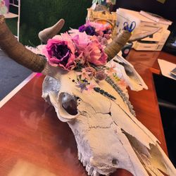 Bull Skull 