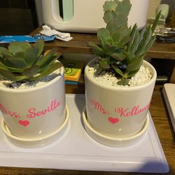 Real Succulent Planters $12 