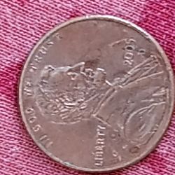 2005 D Error Penny. Dye Crack On Date And Under Nose. 