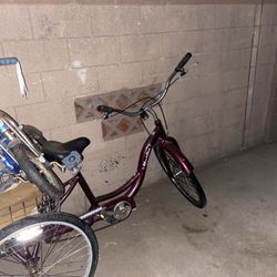 Bike 3 Wheel
