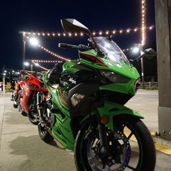 2024 Ninja 500