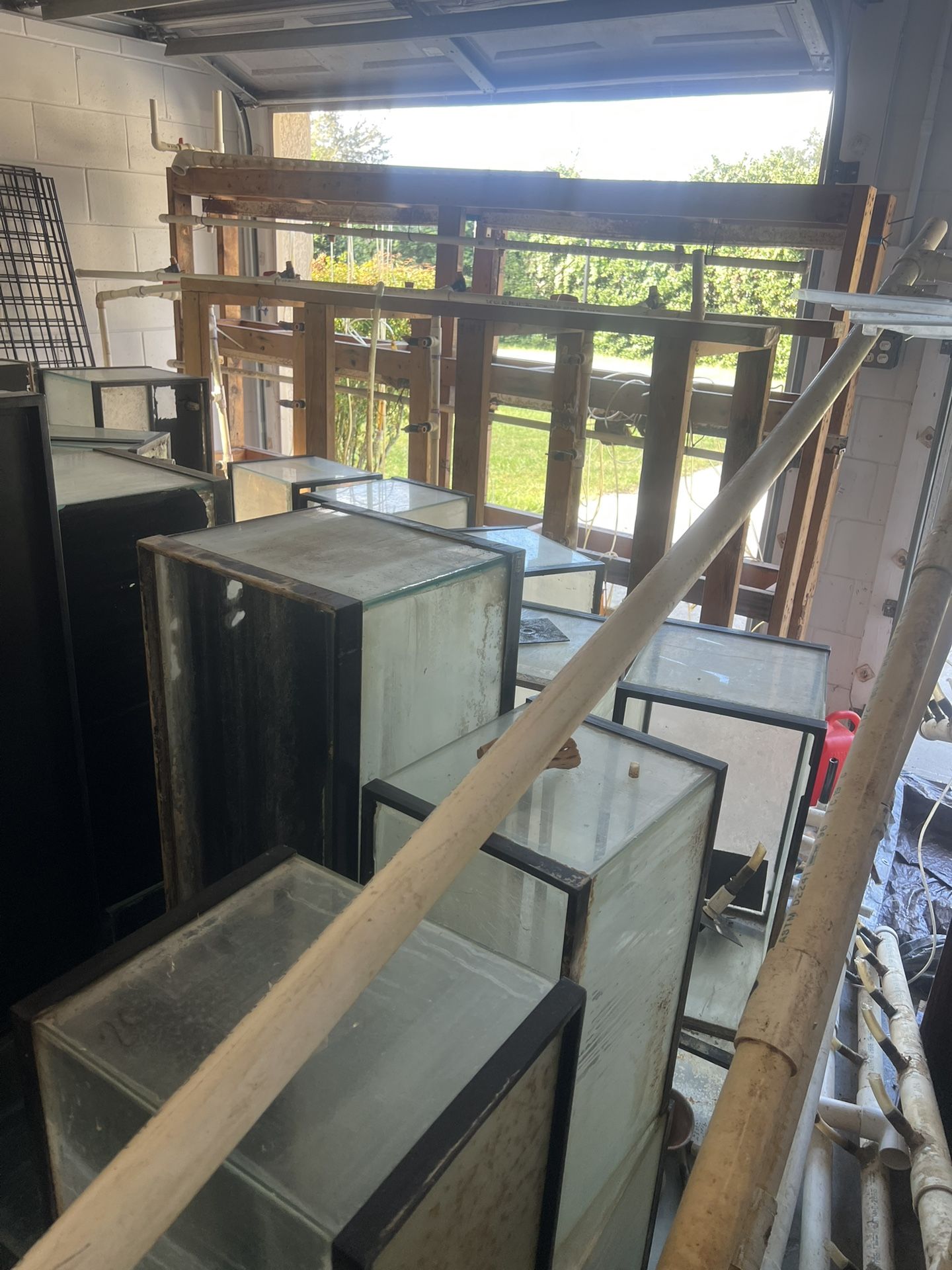 Fish Tanks And Racks, 10 And 15 Gallon Aquariums Mostly 