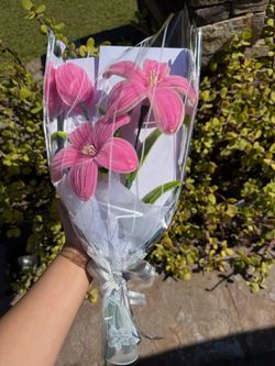 Eternal Flower’s