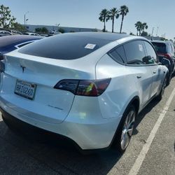 2020 Tesla Model Y
