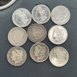 Lot Of 9 Morgan Silver Dollars 