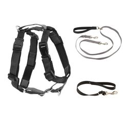 Two point control leash with the pet safe 3 in 1 harness