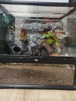 Reptile tank17.5x17.5x18.5