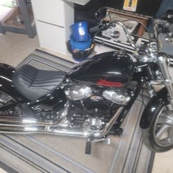 2023 Harley Davidson FXST