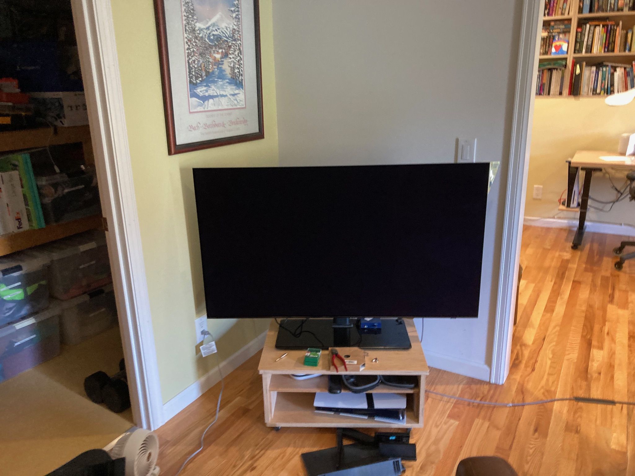 LG OLED 48” TV