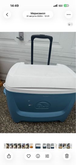 Large Cooler