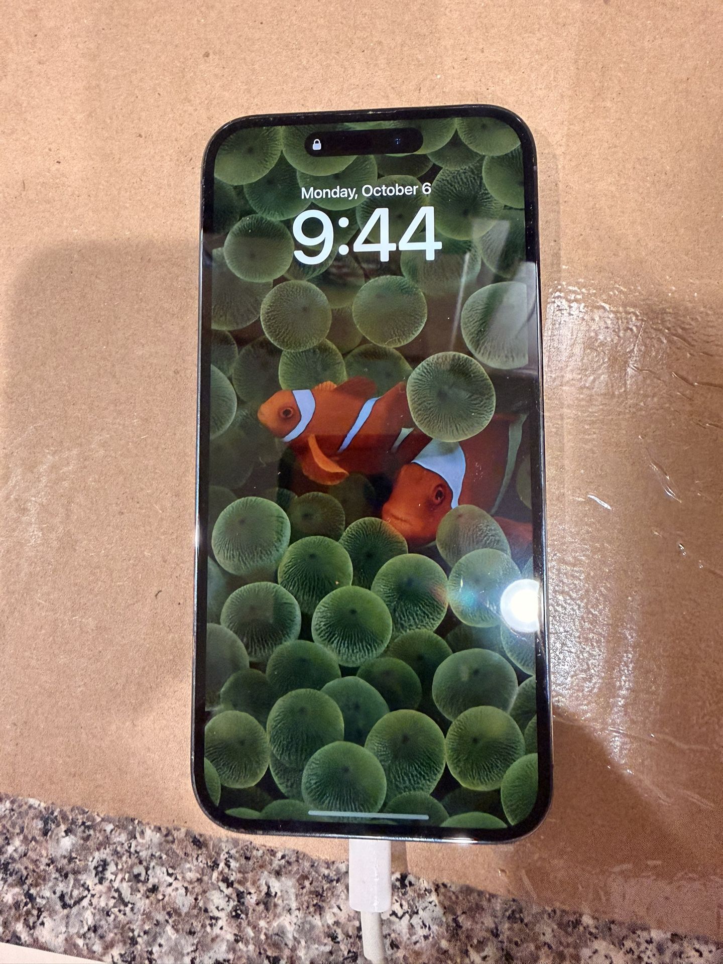 iPhone 14 PRO MAX 256 GB *Unlocked*