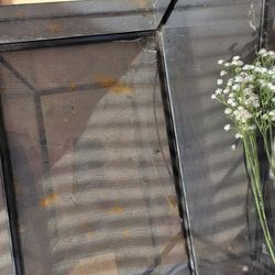 10 gallon cracked aquarium or terrarium