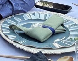 Dusty Sage Napkins - Polyester 