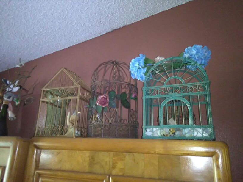 Cool bird cages.