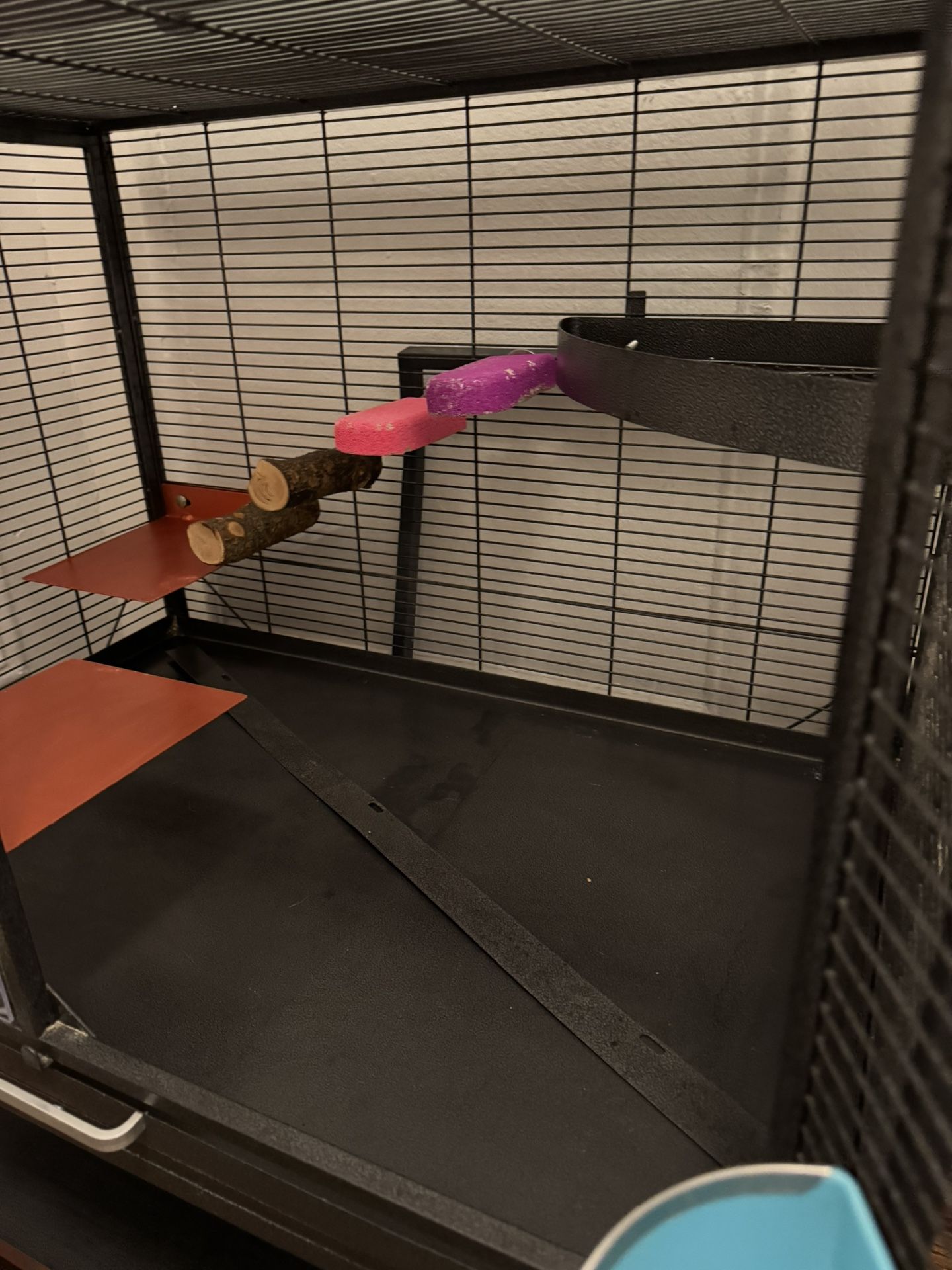 Rats/hamsters Cage