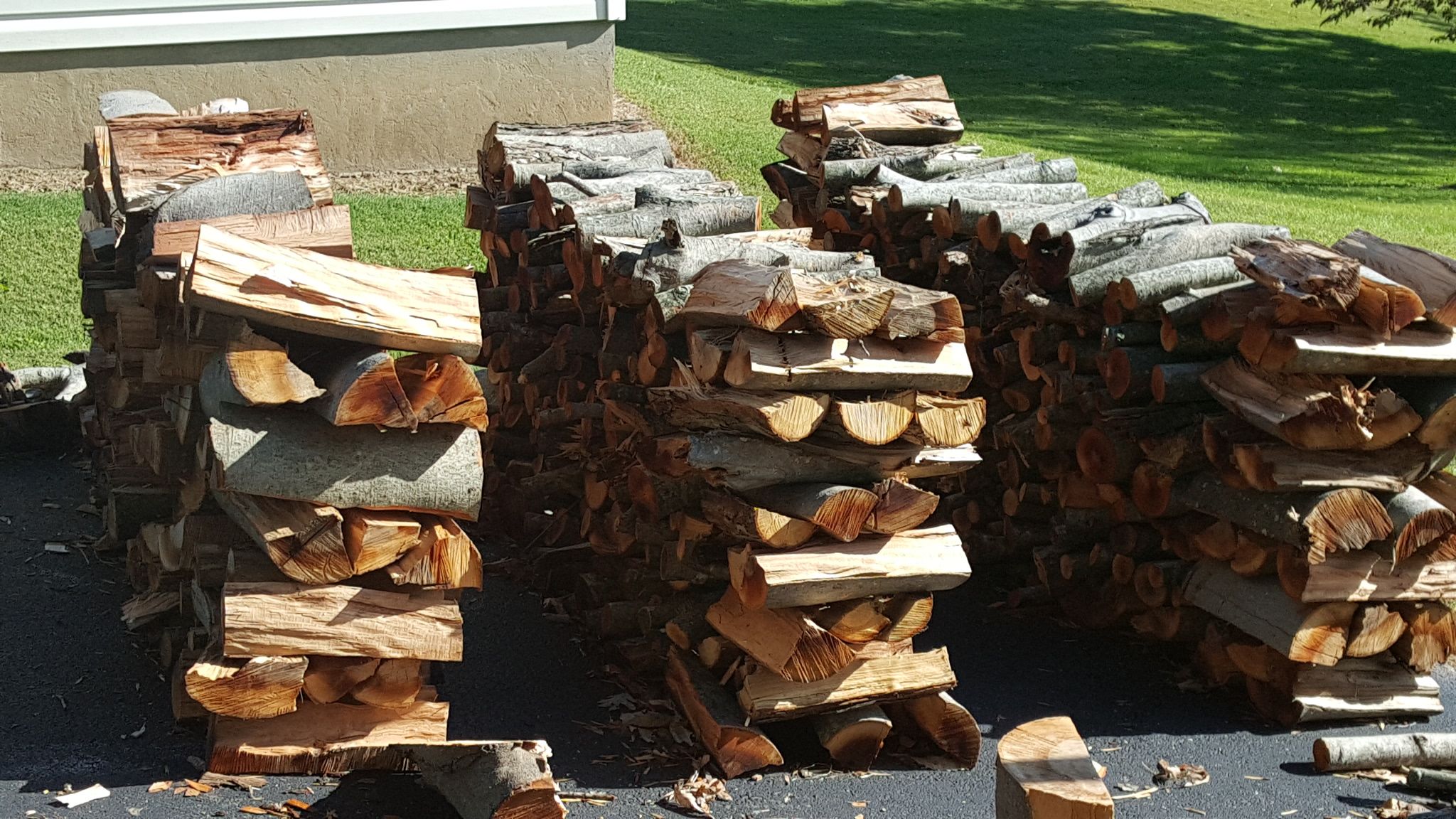 Beech firewood for sale