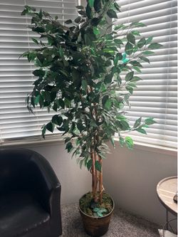 Artificial ficus tree