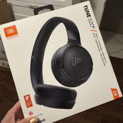 JBL 520 Headphones