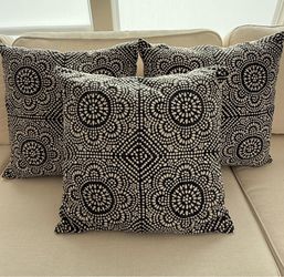 Pottery Barn pillow covers.