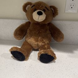 Build A Bear Teddy Bear