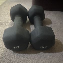 Pair Of Day One Fitness Weights 15 Pounds Each 