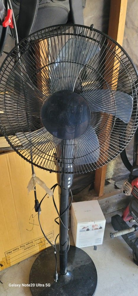Fan Like New