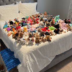 Massive Collection Of Beanie Babies
