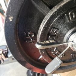 Bench And Weights Only No Bar