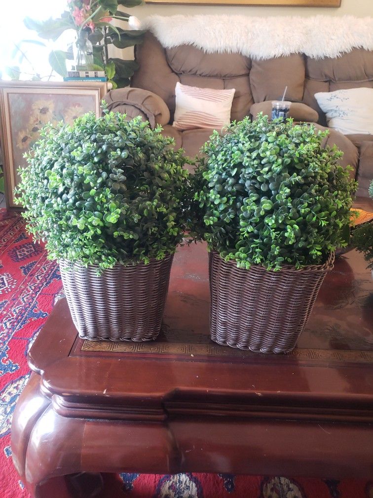 16 INCH TOPIARY WITH LIGHTS