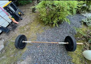 45 lb Olympic barbell with two 45lb plates