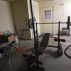 Gikpal 800 Weght  Bench 