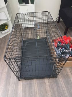 Kennel