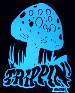 DGK trippin etched lighted mirror