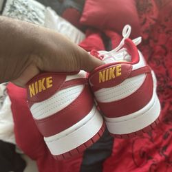 Dunks Gym Red