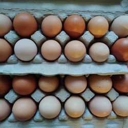 Chicken Eggs / Huevos De Gallinas 