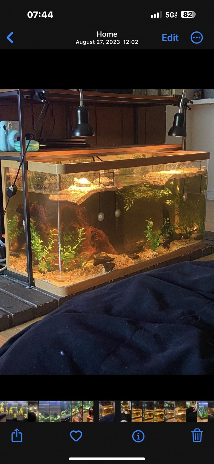 50 Gal Fish Tank