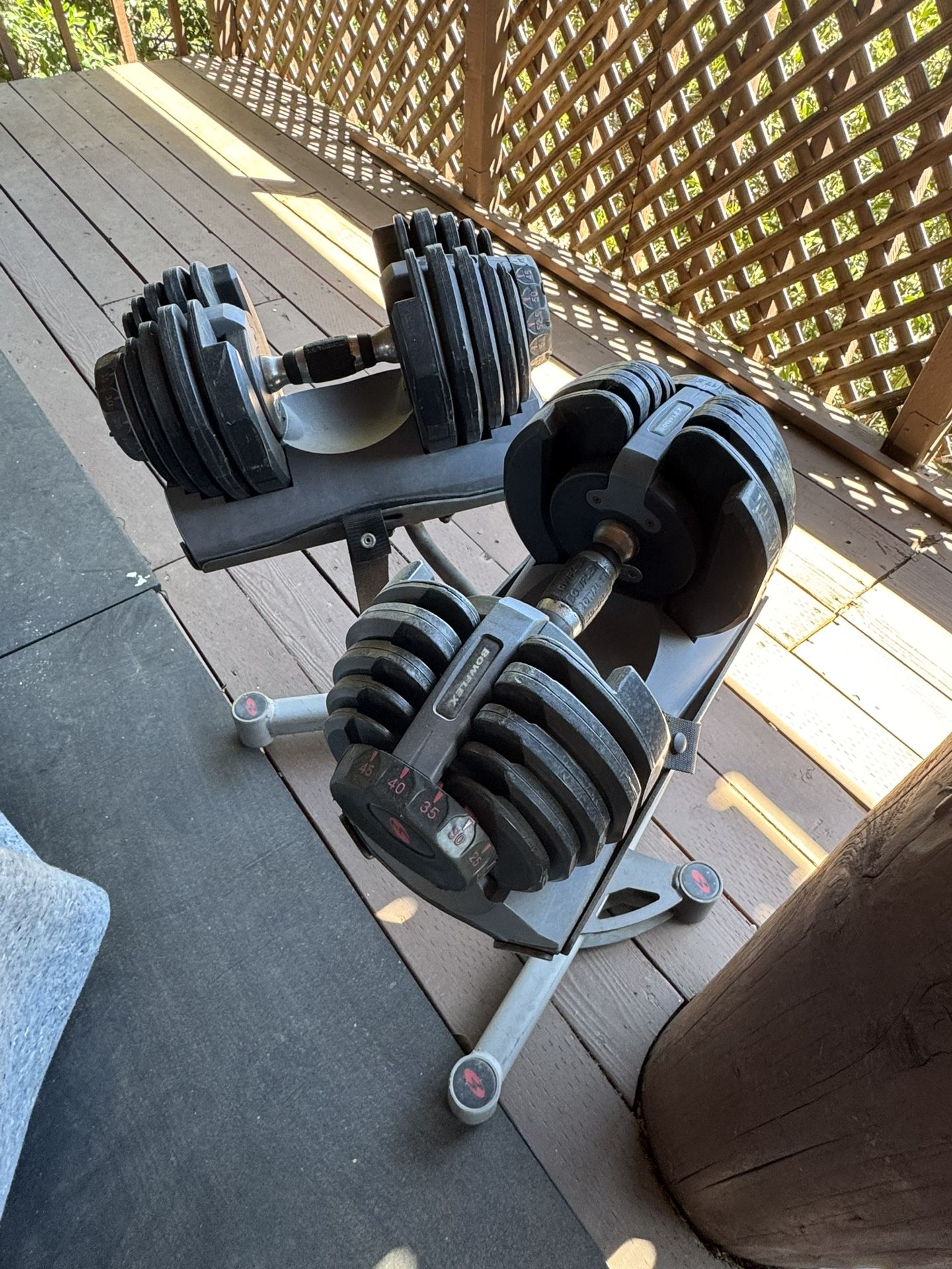 Bowflex Dumbbells