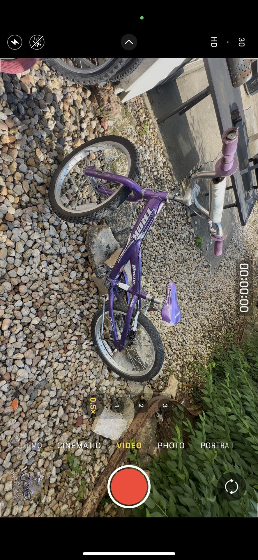 20” Girls Bike